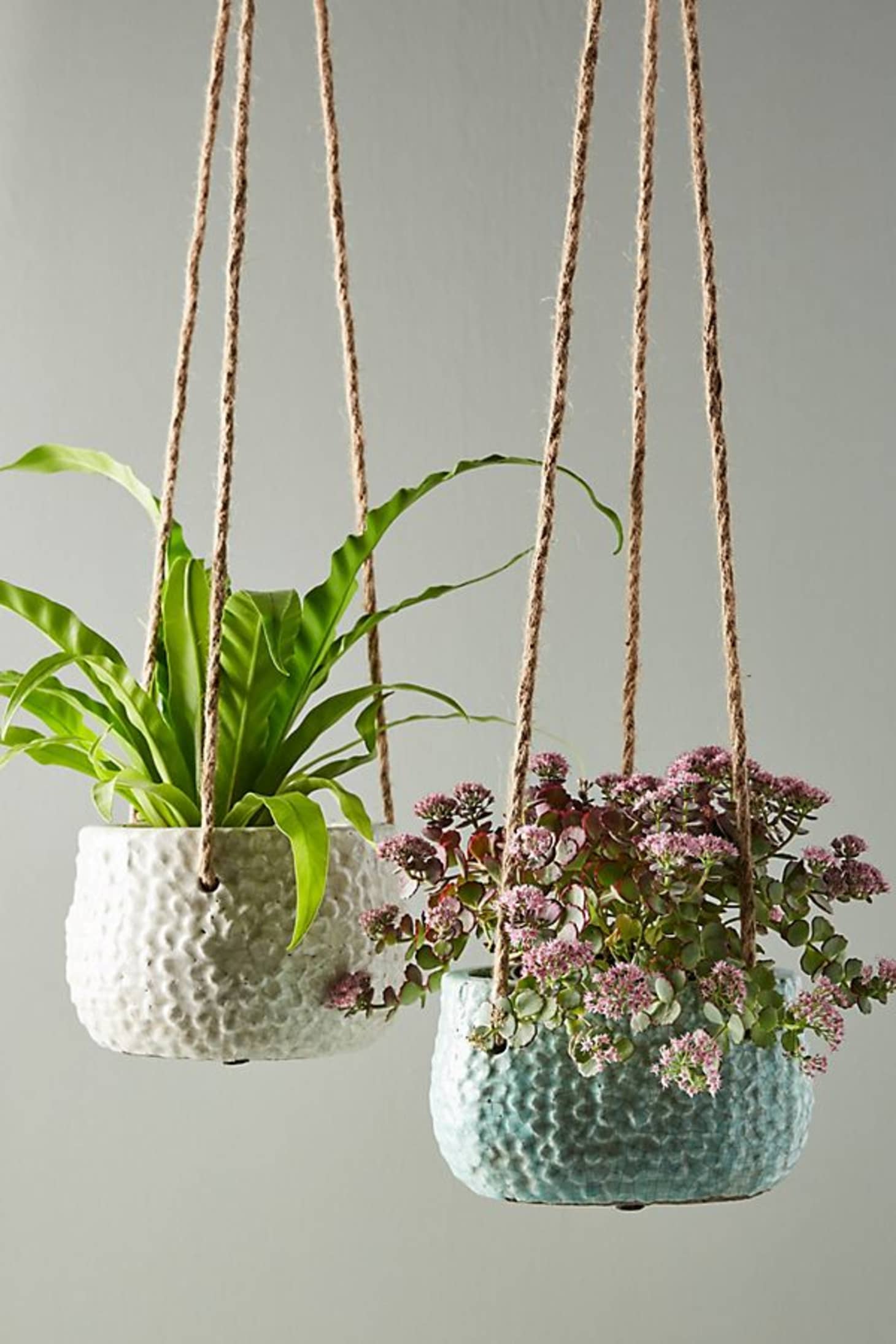 Anthropologie Planter Summer Sale Apartment Therapy