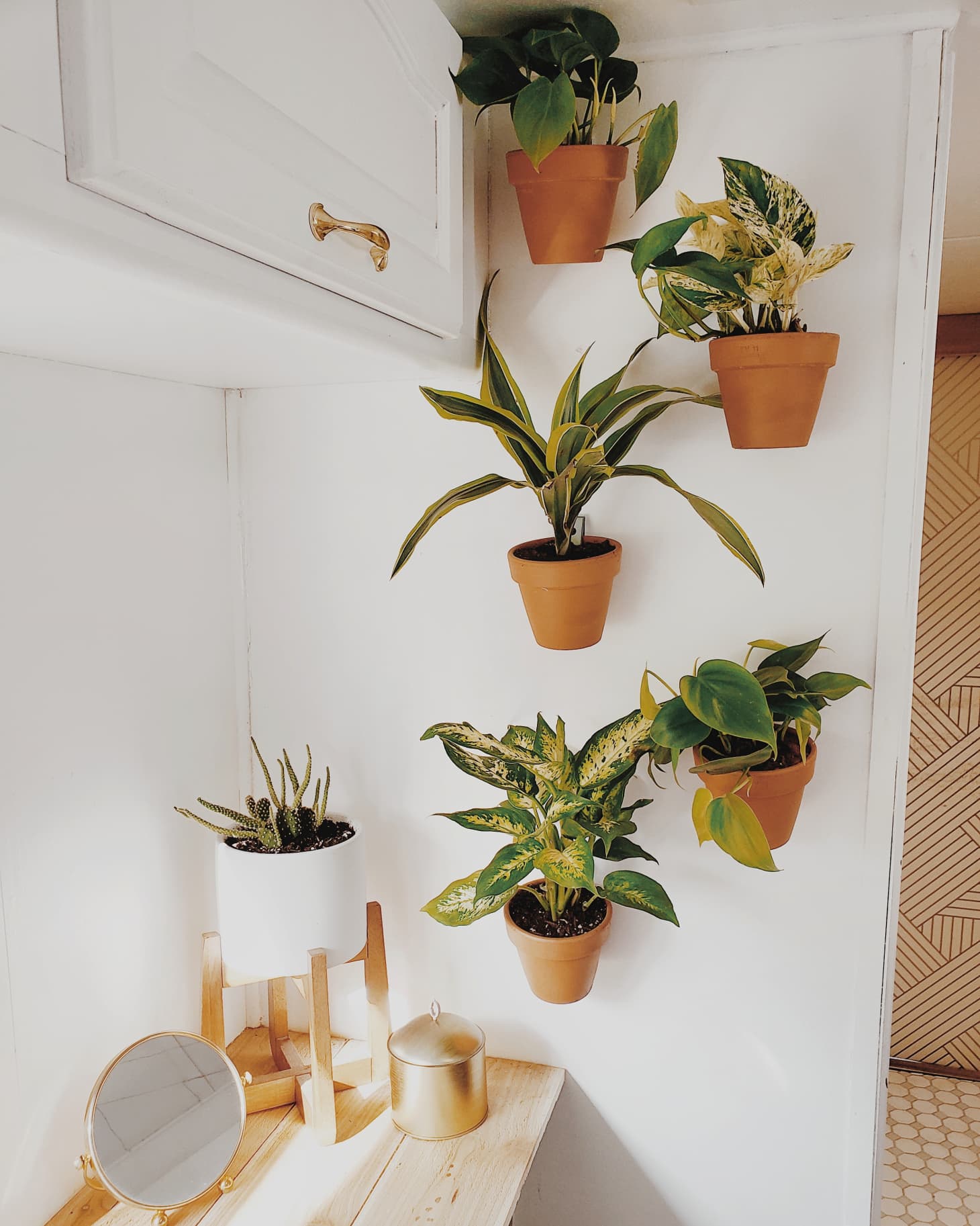 10 New (and Brilliant!) Ways to Decorate With Plants Apartment Therapy