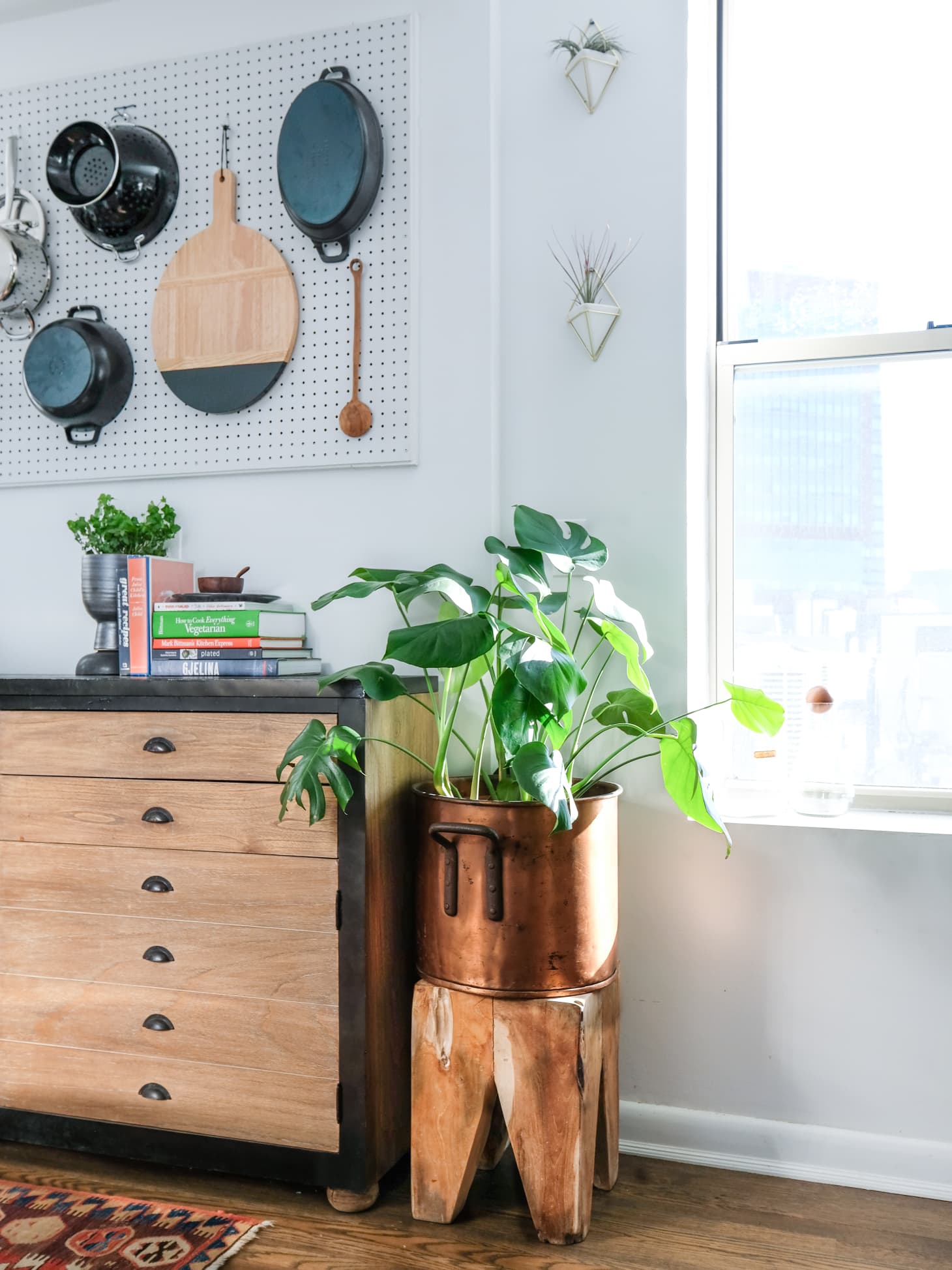 How to Display Houseplants 65 of Our Favorite PlantDisplay Ideas