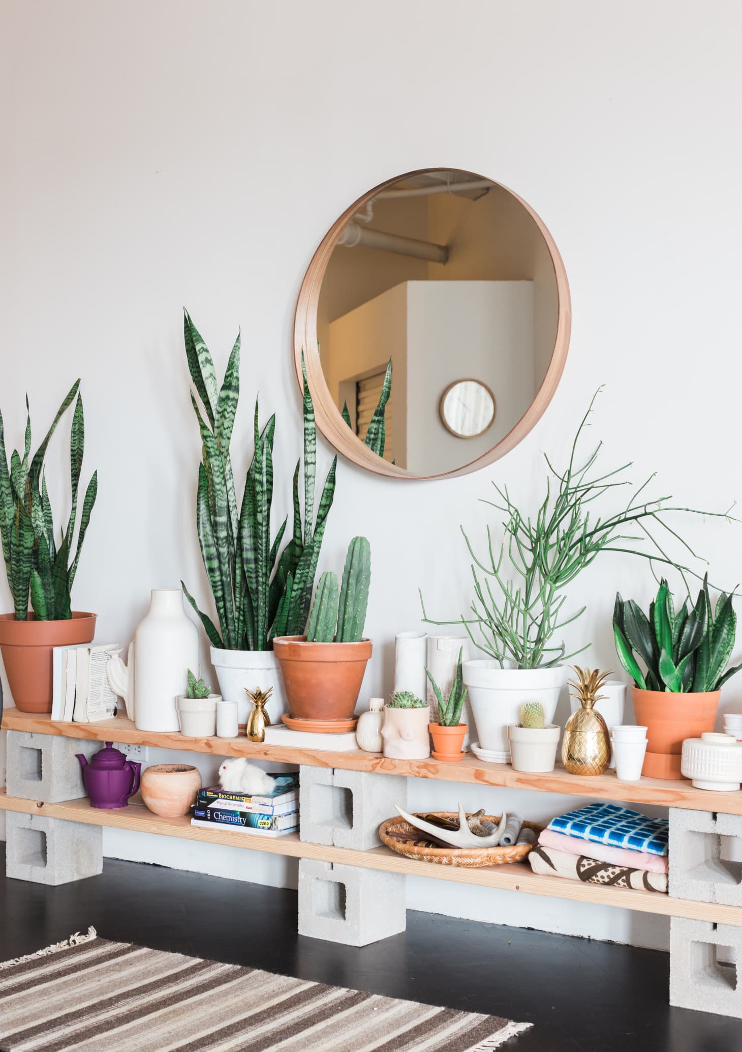 How to Display Houseplants 65 of Our Favorite PlantDisplay Ideas