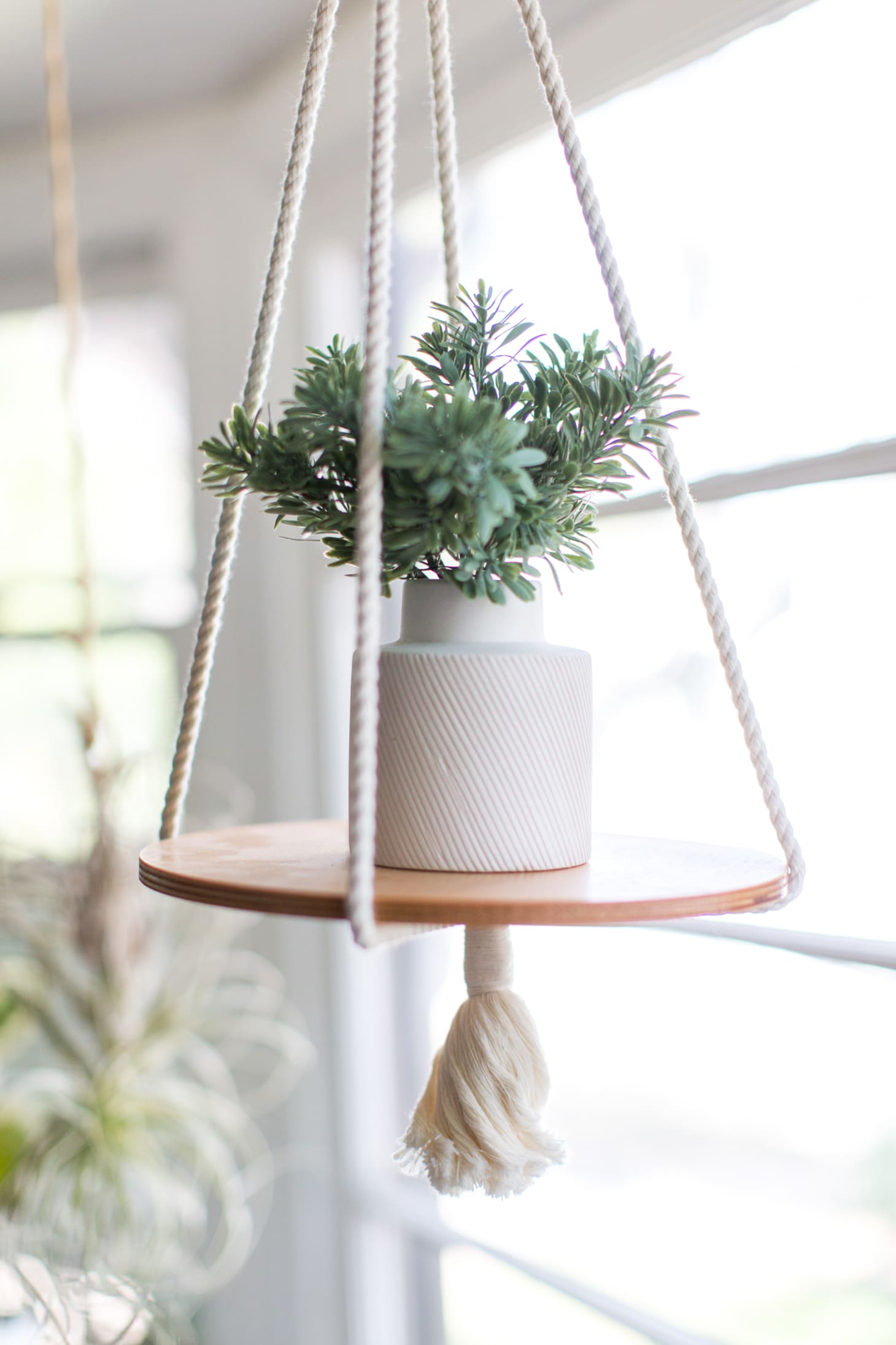 How to Display Houseplants 65 of Our Favorite PlantDisplay Ideas