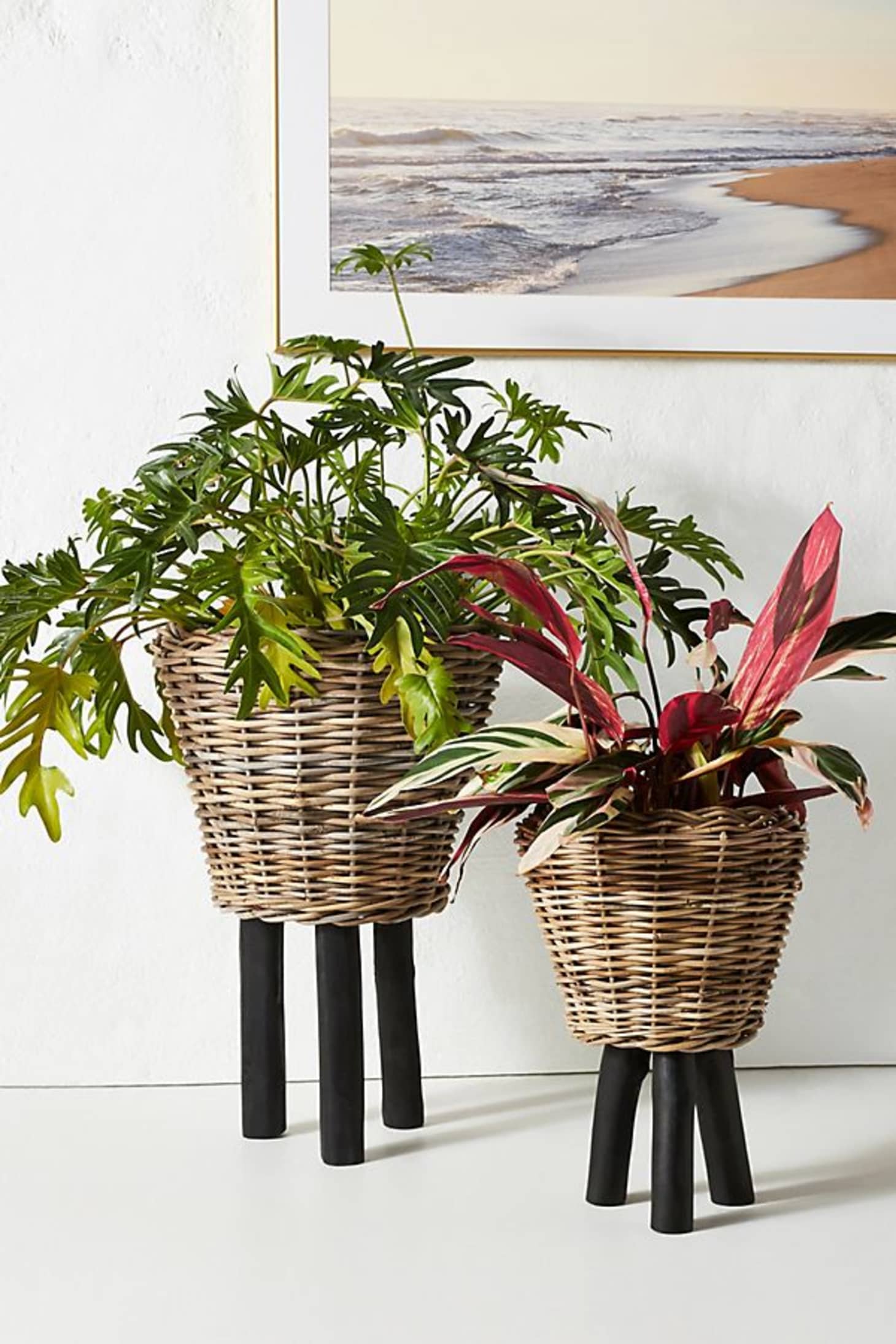 Anthropologie Planter Summer Sale Apartment Therapy