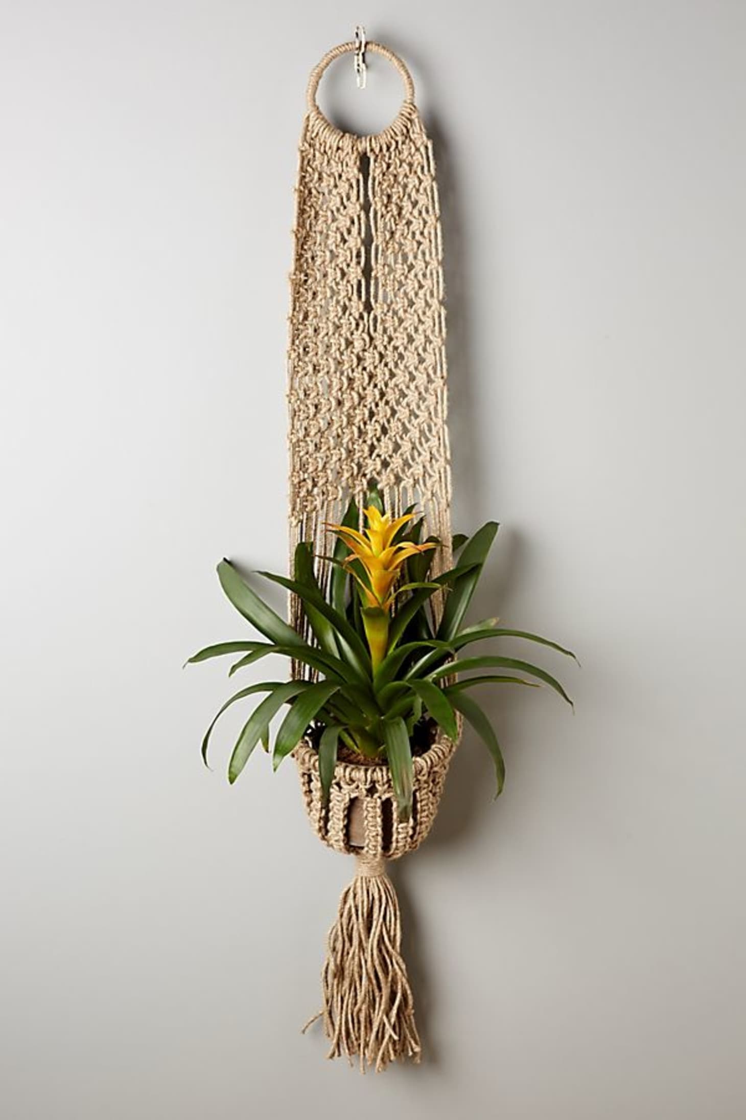 Anthropologie Planter Summer Sale Apartment Therapy