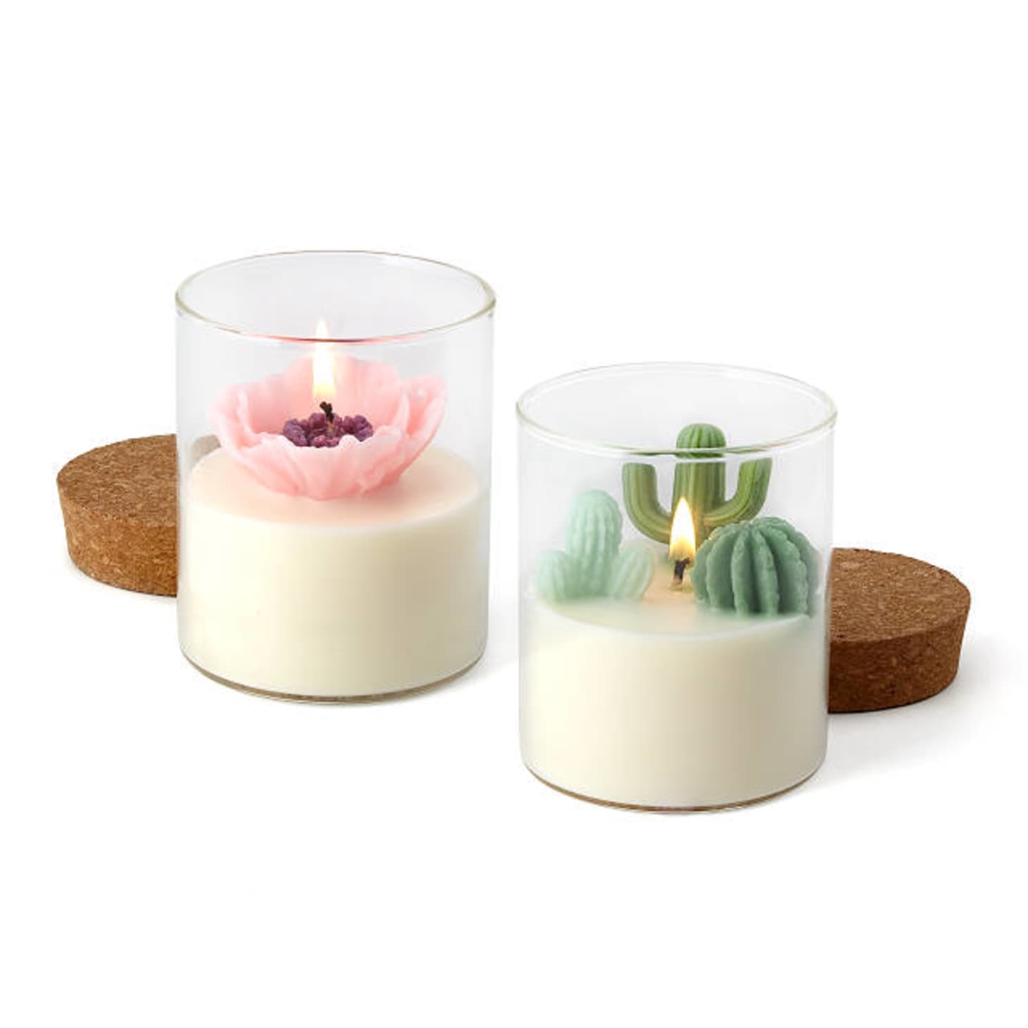 These Terrarium Candles Are Almost Too Pretty to Light Apartment Therapy