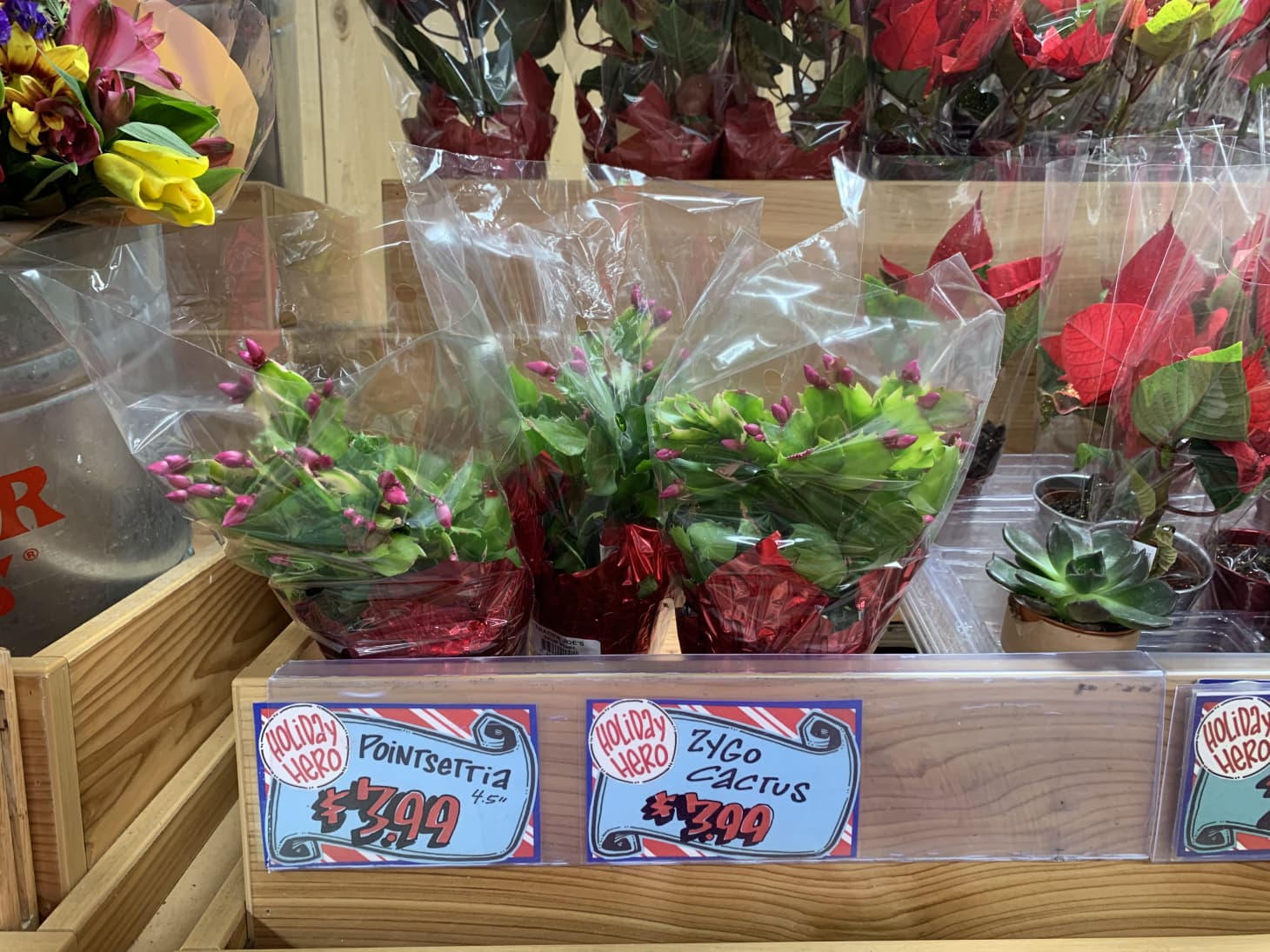 Trader Joe's Winter Holiday 2019 New Products and Reviews Apartment Therapy