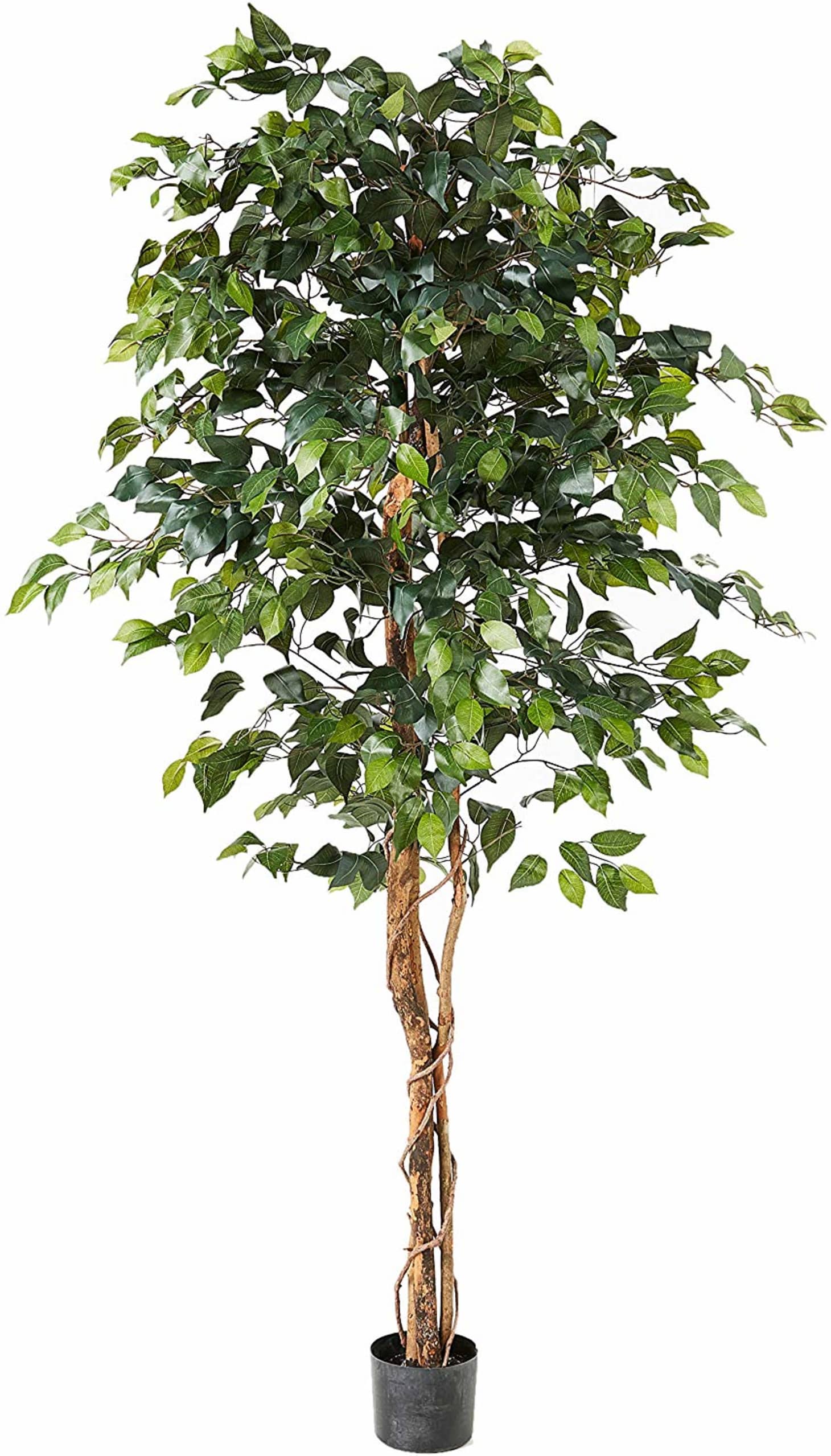 Affordable Fake Ficus Tree Amazon | Apartment Therapy