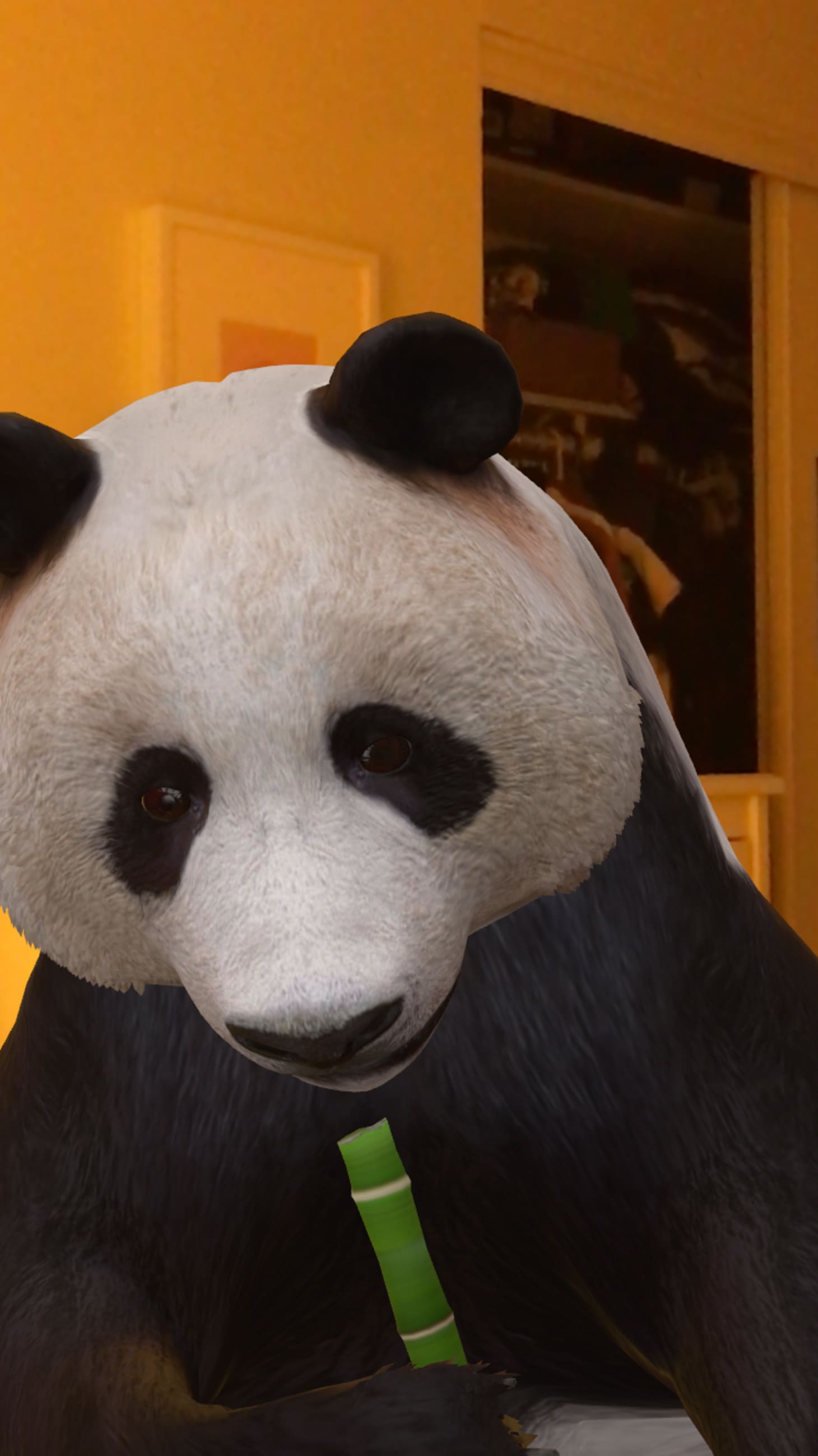 Google 3D  Animals Augmented  Reality  Apartment Therapy