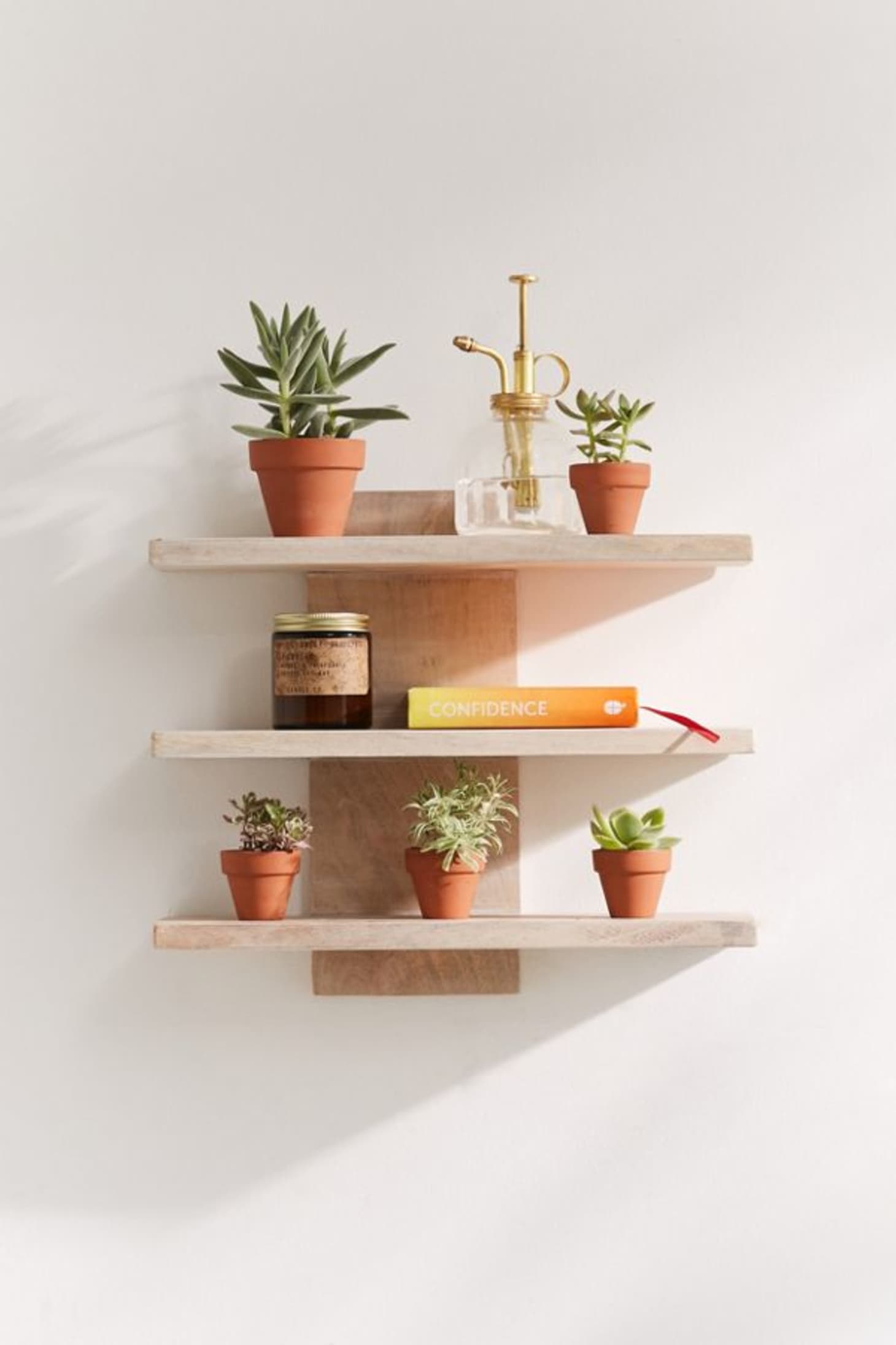 6 Ways to Create a Plant Wall In a Rental  Apartment Therapy