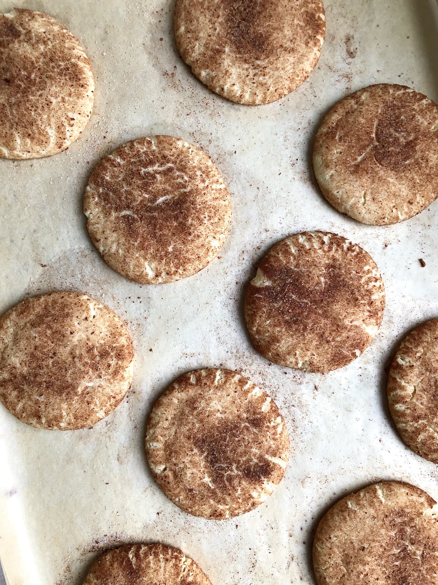 I Tried Serious Eats' Snickerdoodle Recipe Kitchn
