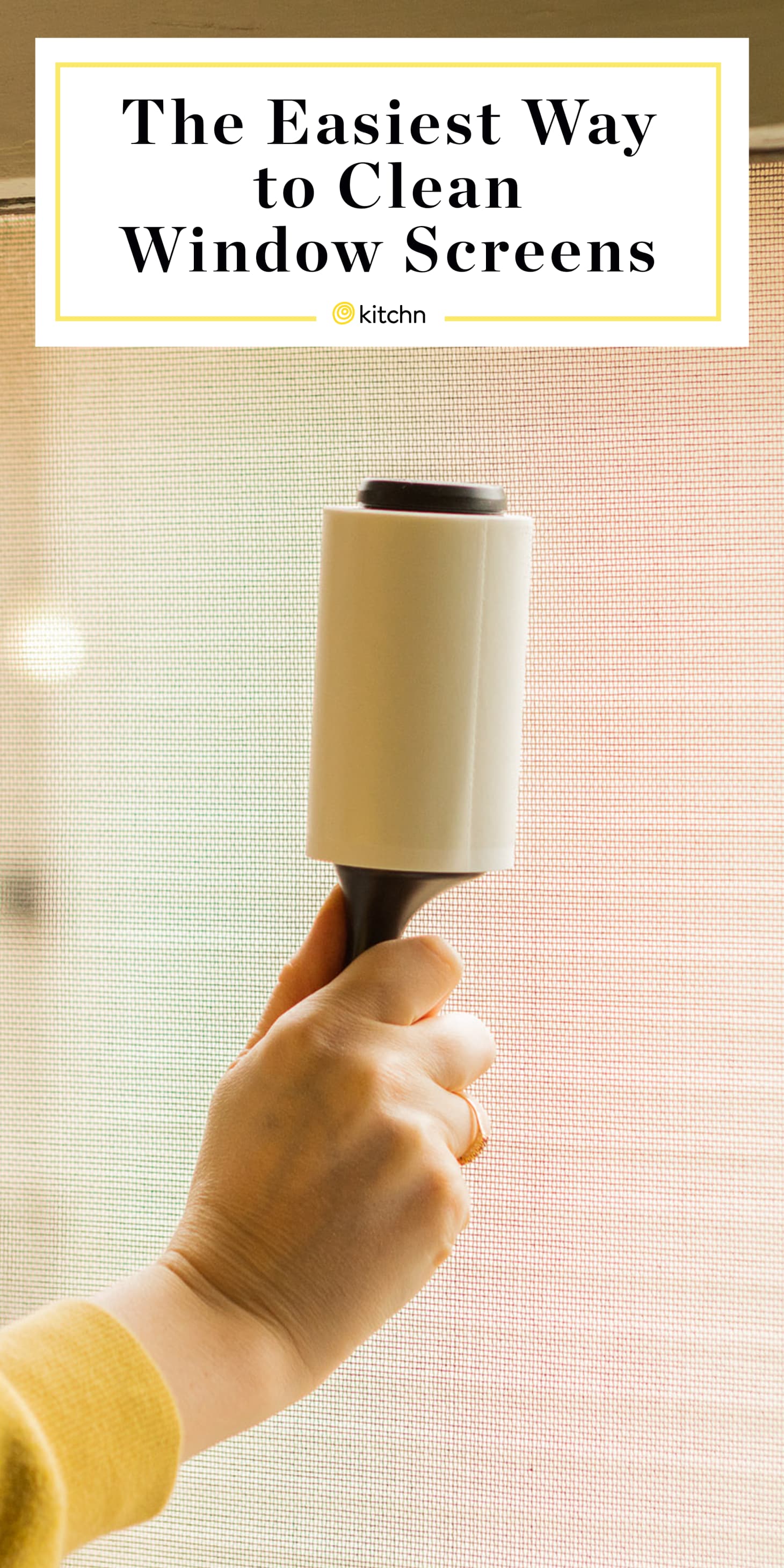 Best Way to Clean Window Screens Kitchn