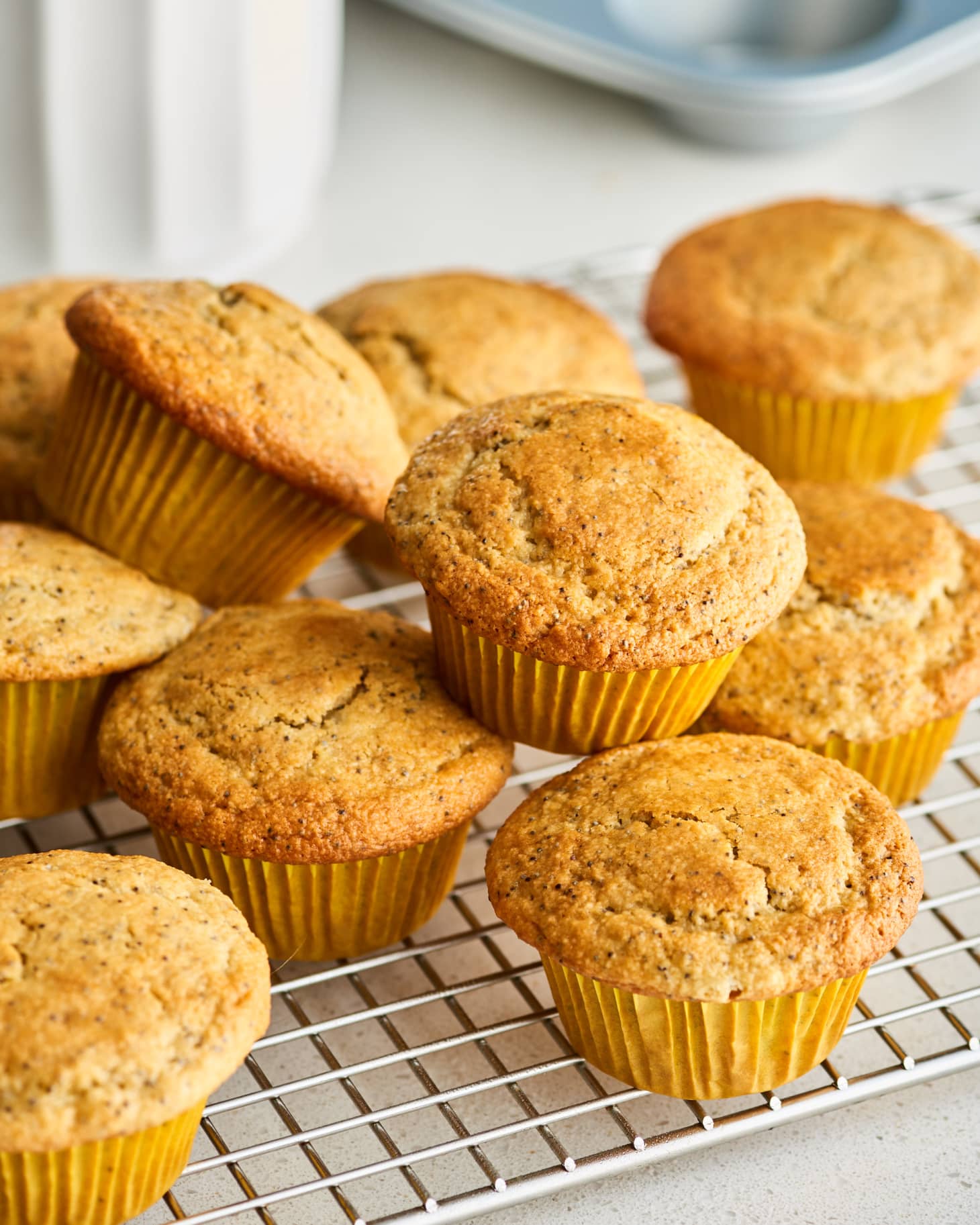 Gluten-Free Lemon Poppy Seed Muffins | Kitchn