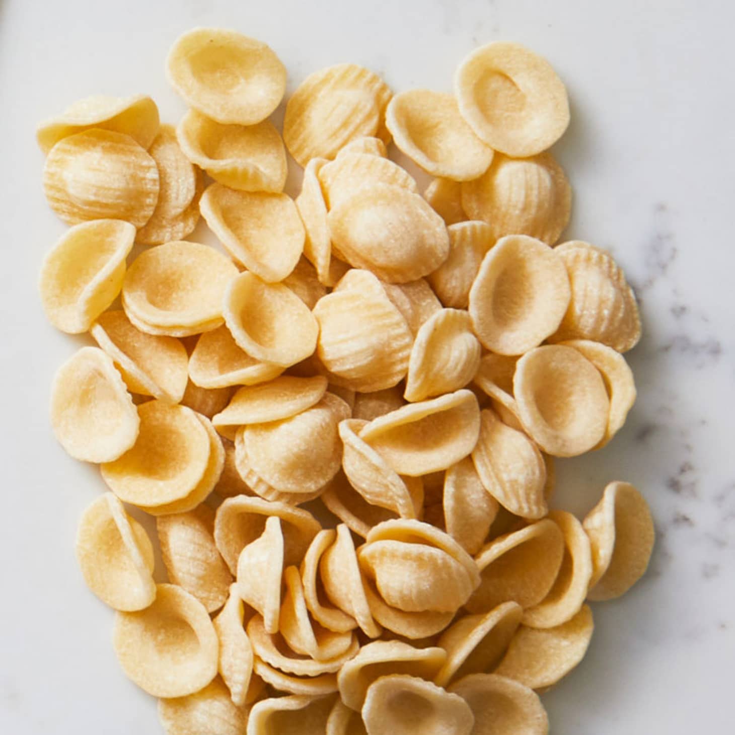 5 Pastas That Hold Sauce Better than Spaghetti Kitchn