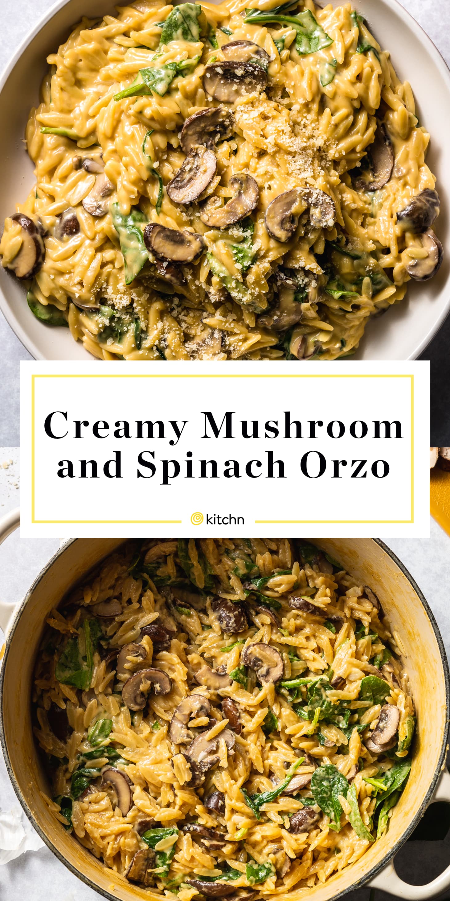 One-Pot Creamy Mushroom and Spinach Orzo | Kitchn