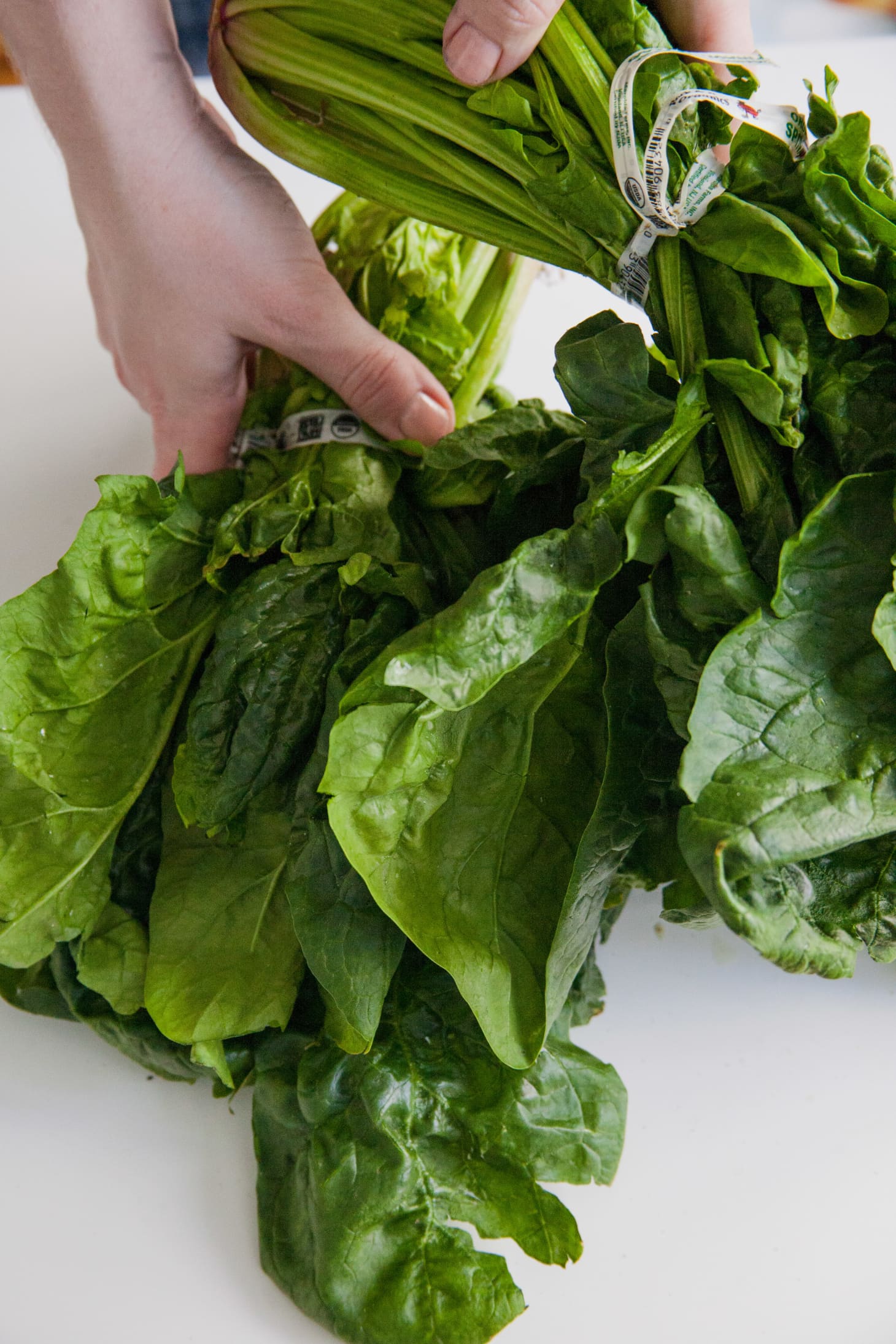 Here’s What 1 Pound of Spinach Looks Like Kitchn