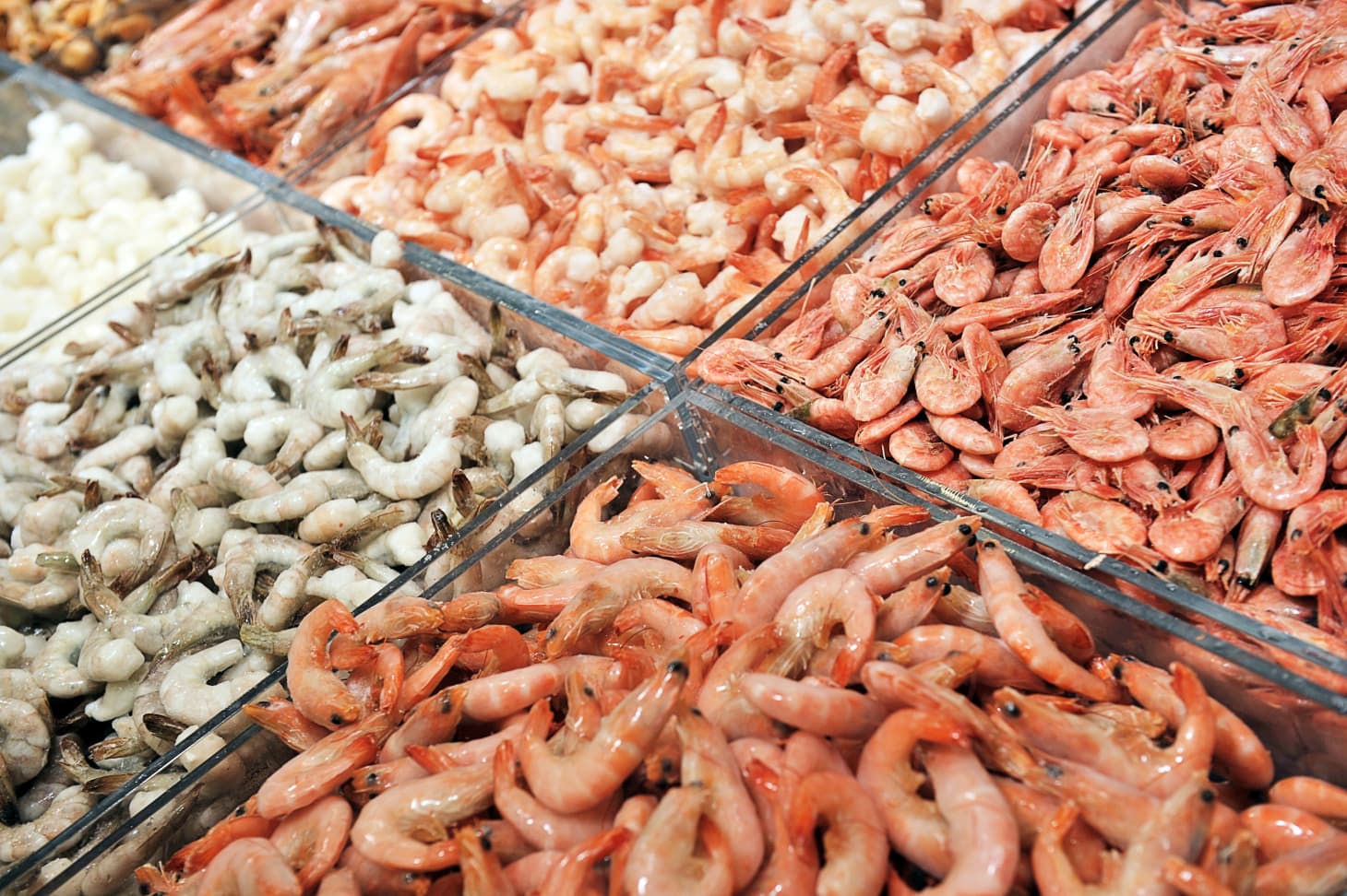How Does Shrimp Sizing Work? Kitchn