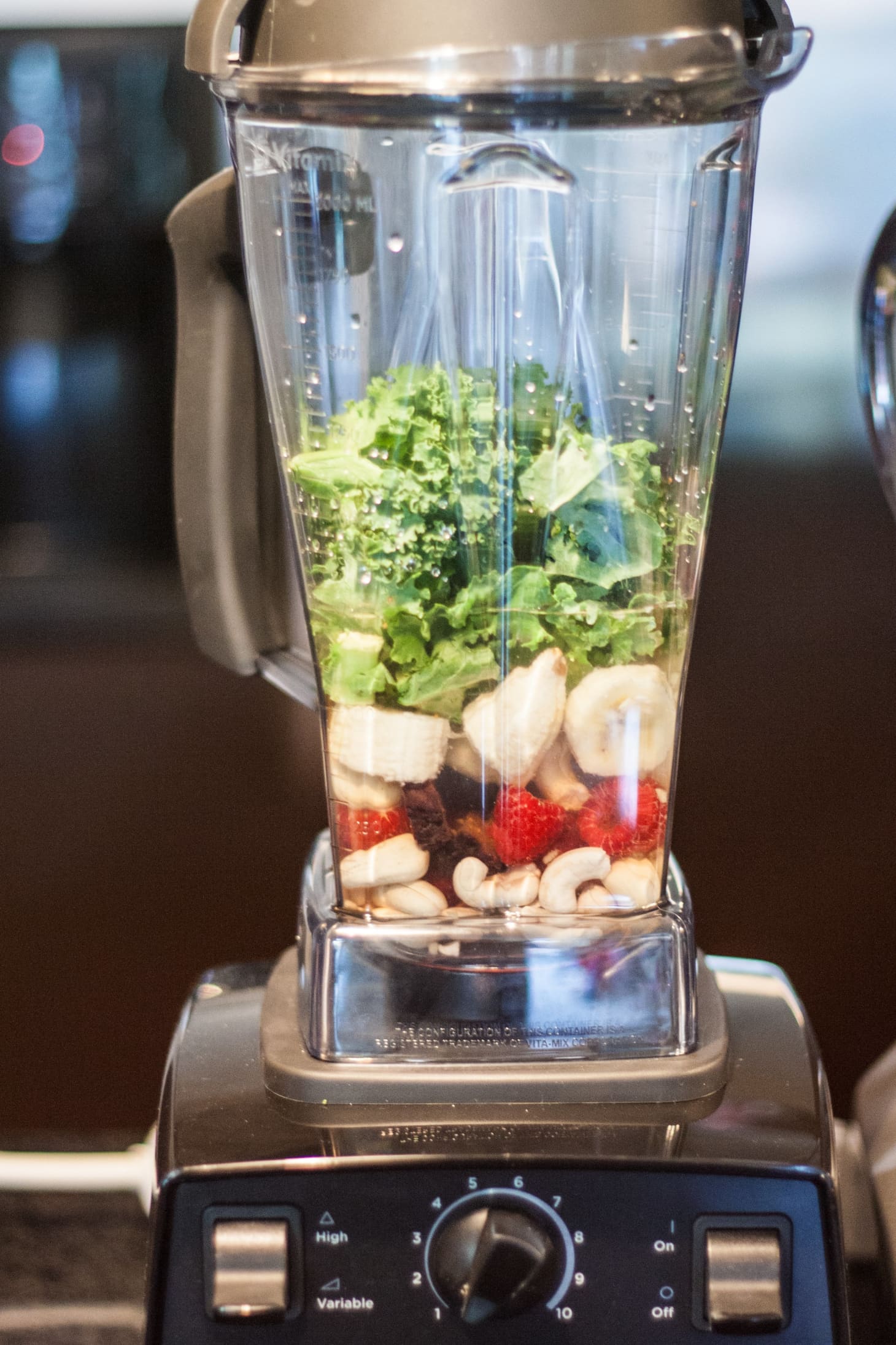 Vitamix Blendtec Blender - Pros Cons | Kitchn