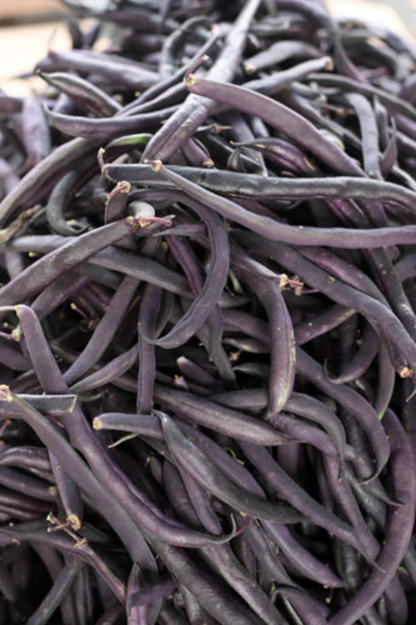 String Beans Galore! | Kitchn