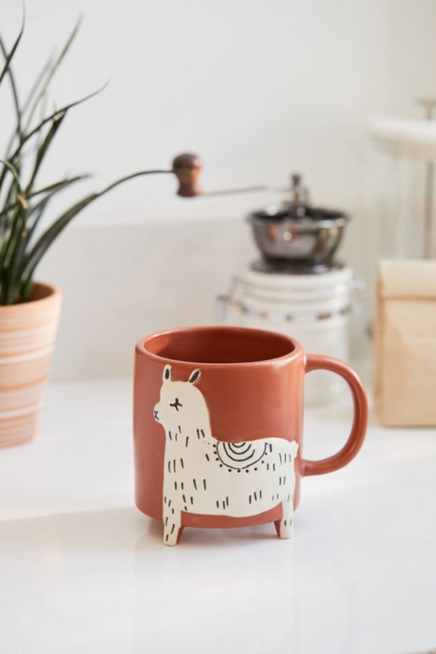 The Best Gifts for the Kitchen from Urban Outfitters 2019 | Kitchn