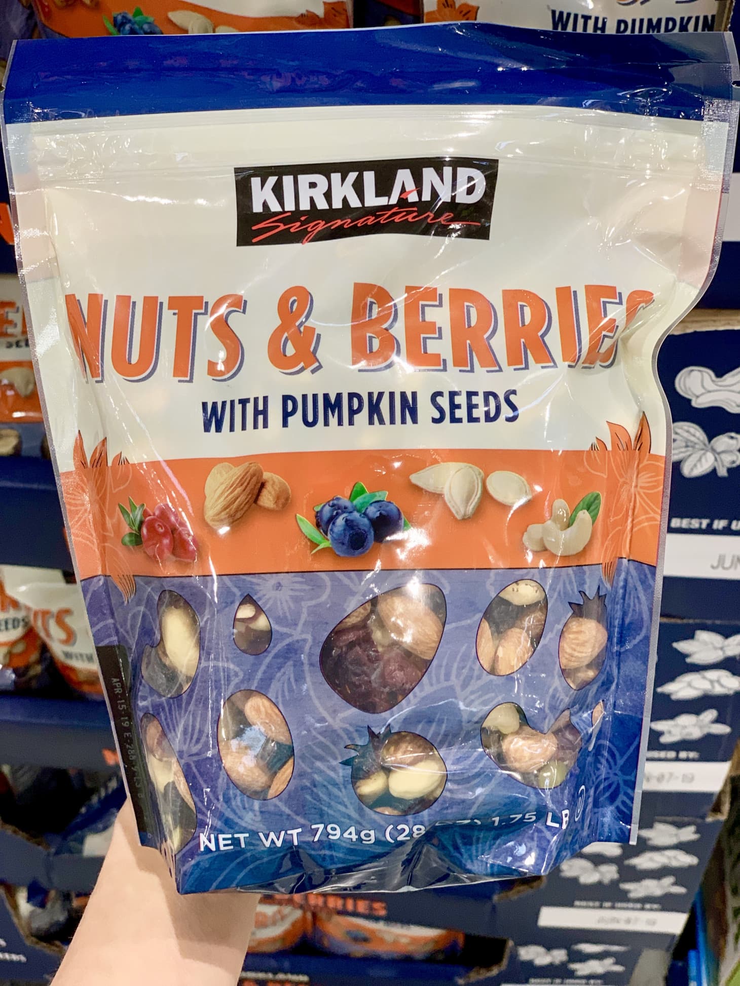 Savory Indulgence: Kirkland Signature Cheese, Fruit & Nut Delight