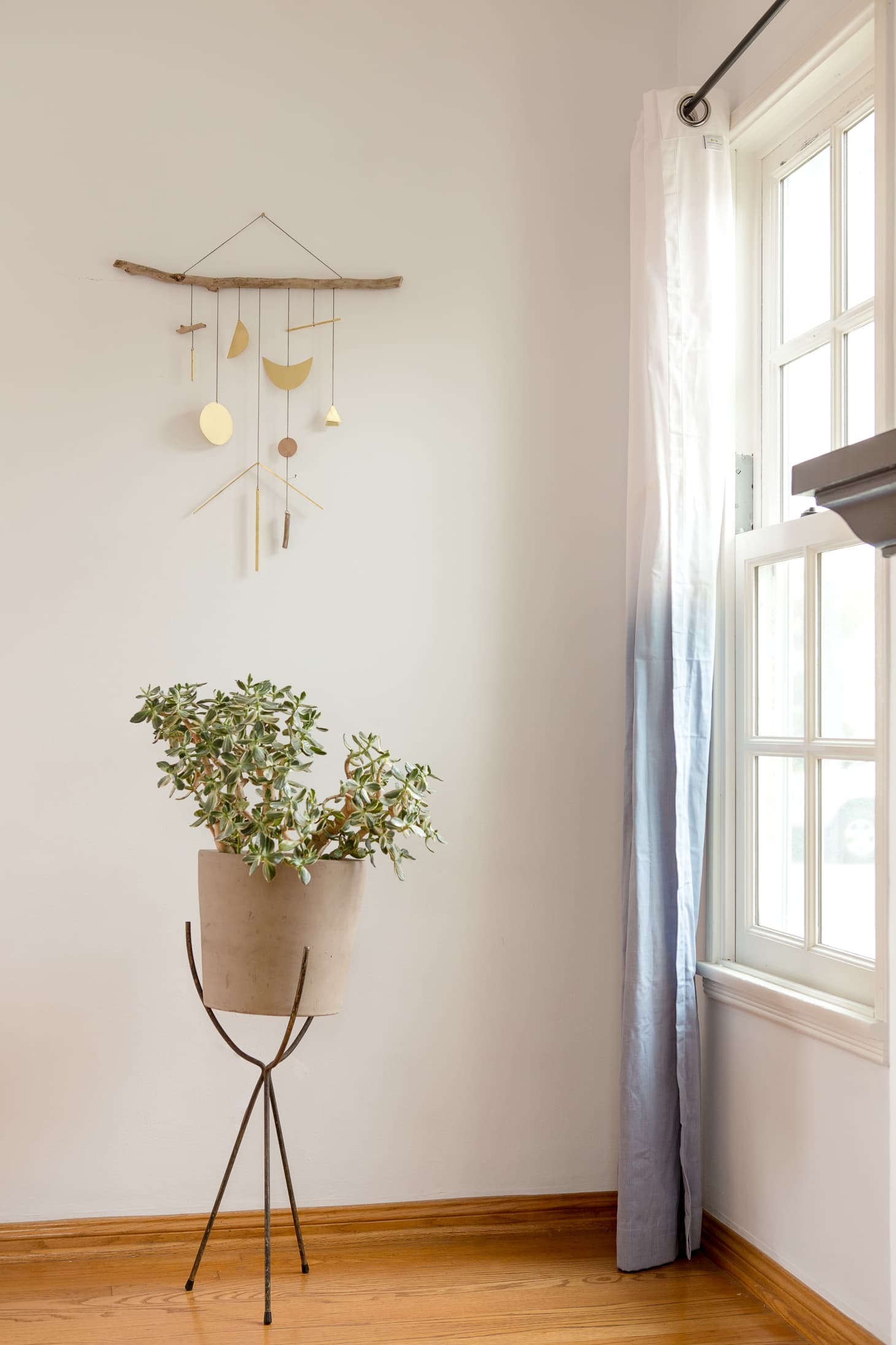 How to Display Houseplants 65 of Our Favorite PlantDisplay Ideas