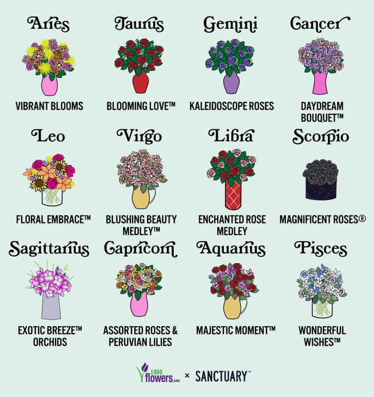 Mexico lame sofa 1-800-Flowers Has Released a Range of Zodiac Bouquets | Apartment Therapy