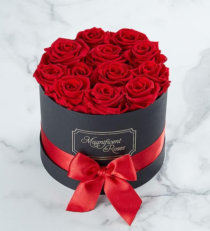 Product Image: Magnificent Roses One Dozen Preserved Red Roses