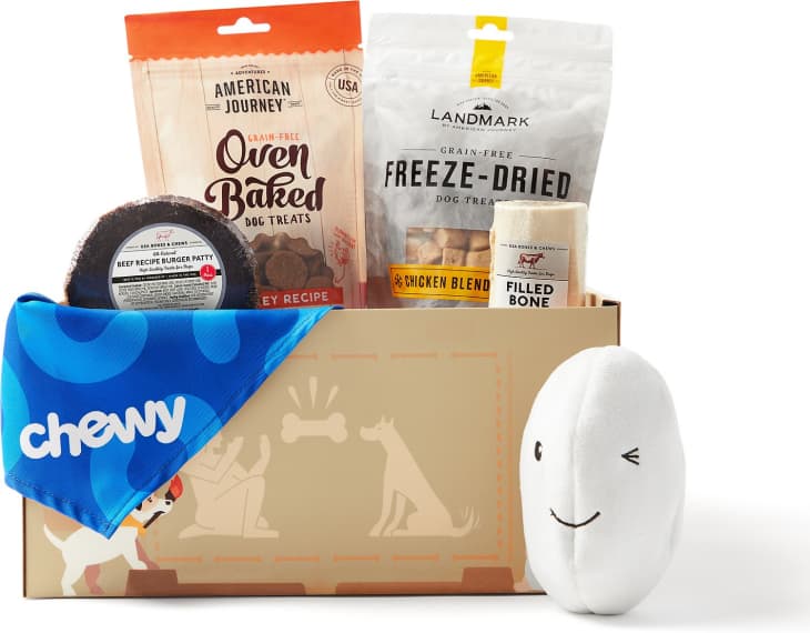 Goody Box Dog Toys, Treats & Apparel for Small/Medium Dogs at Chewy