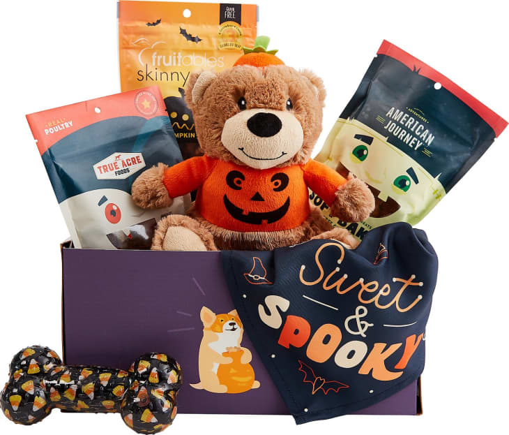 Goody Box Halloween Toys, Treats & Apparel for Dogs at Chewy