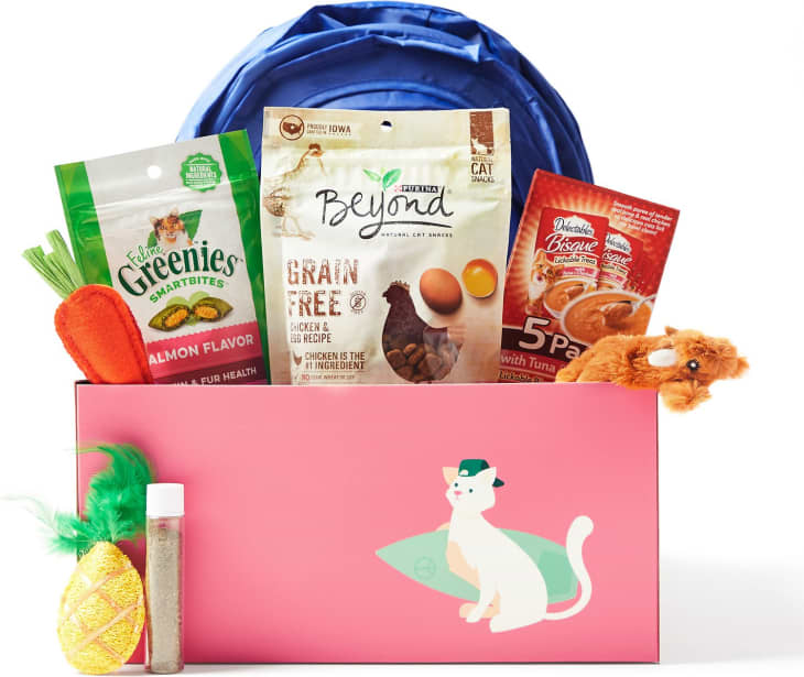 Chewy dog gift sales box