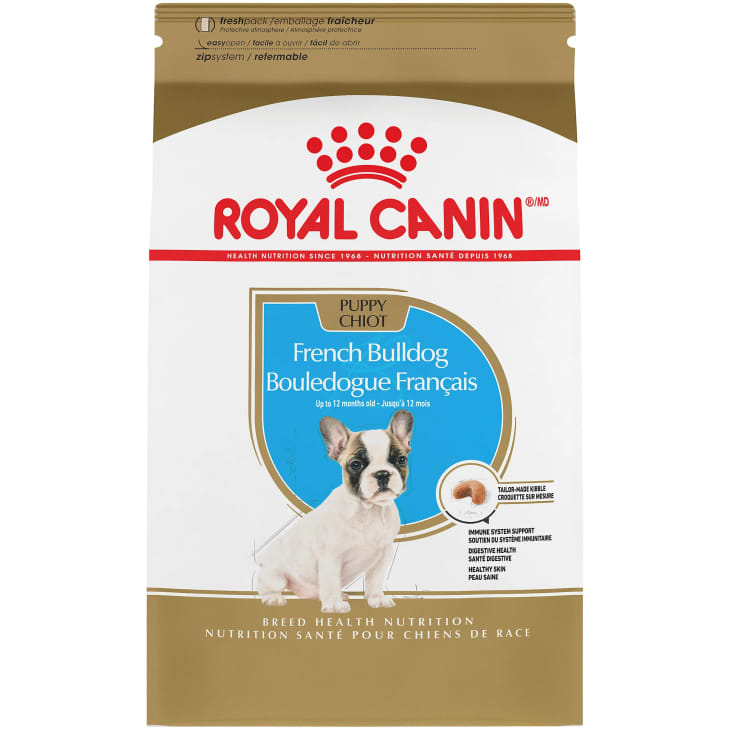 best healthy dog food for puppies
