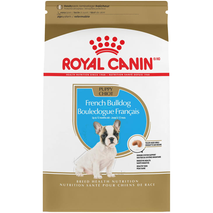 most healthy puppy food