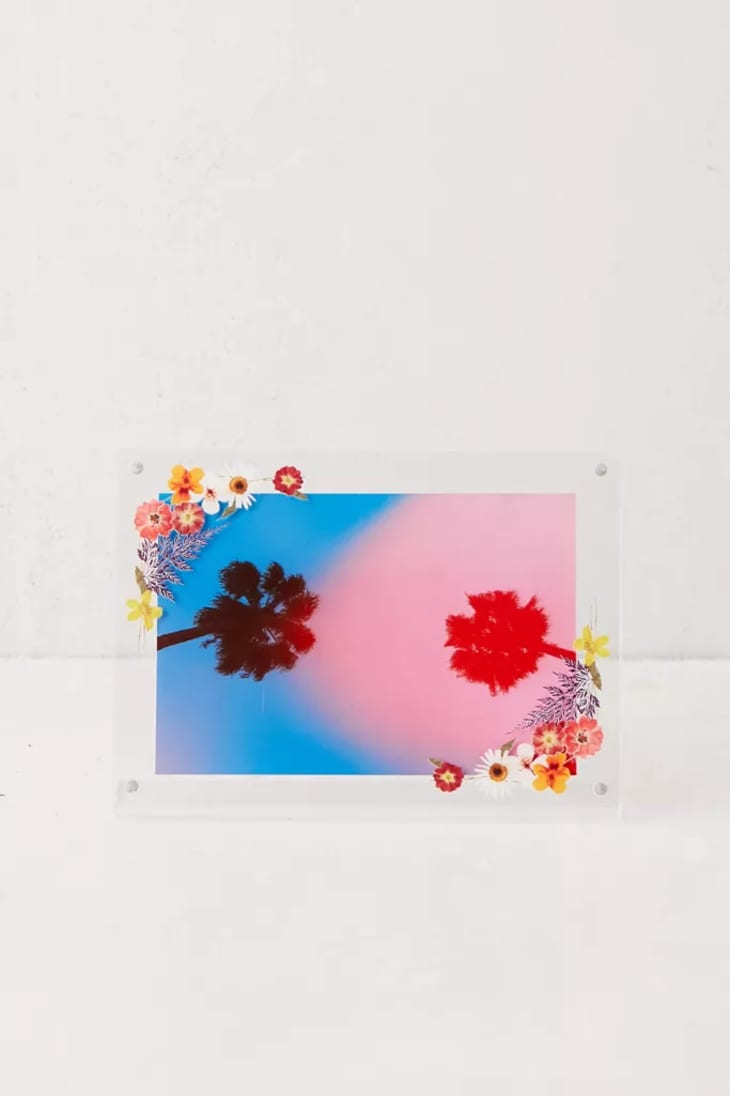 Product Image: Pressed Floral Picture Frame