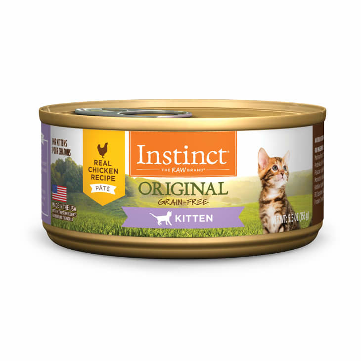 best canned kitten food