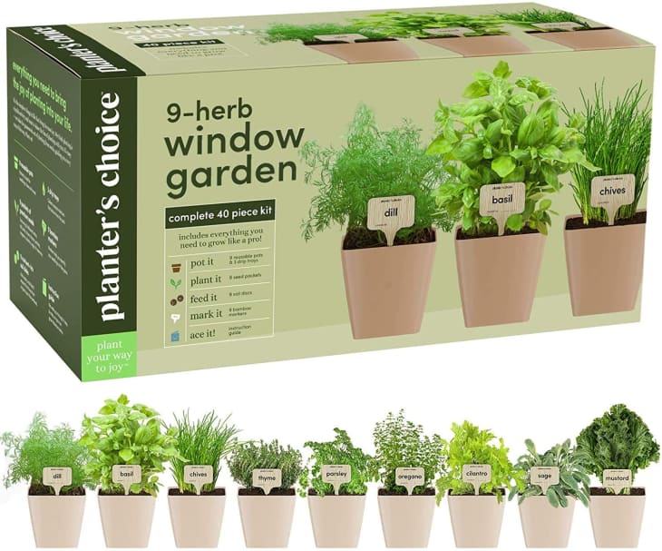 Product Image: Planters' Choice 9 Herb Window Garden