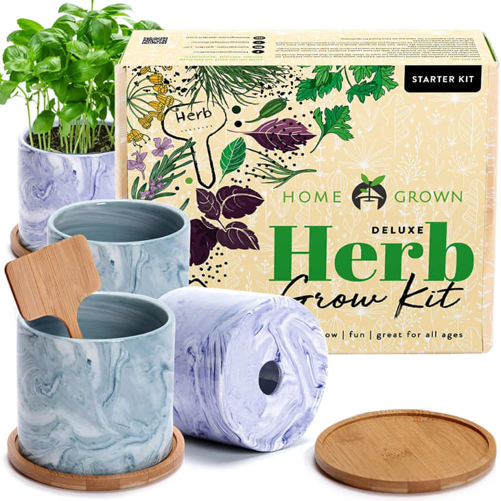 Product Image: Home Grown Indoor Herb Garden Starter Kit