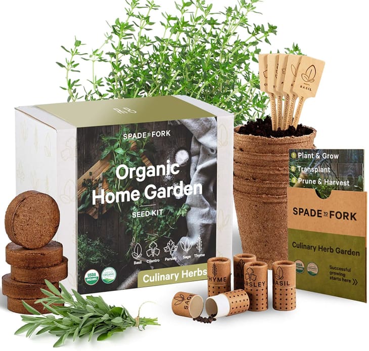 Product Image: Spade To Fork Indoor Herb Garden Starter Kit