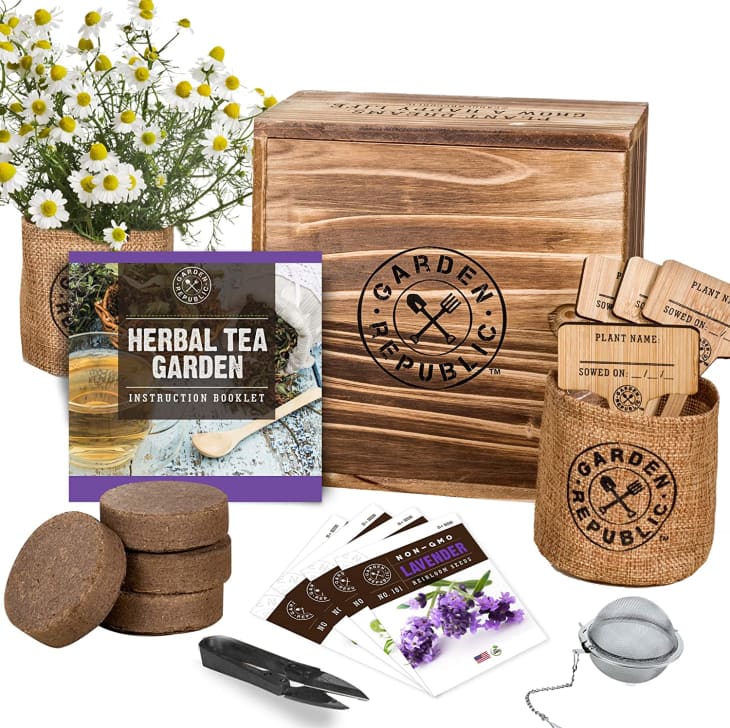 Product Image: Garden Republic Herbal Tea Growing Kit