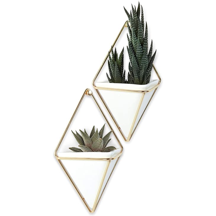 Product Image: Umbra Trigg Small Hanging Planters