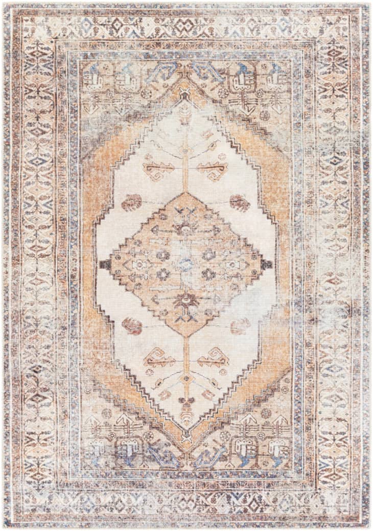 Arncliffe Area Rug, 5' 3" x 7' 3” at Boutique Rugs