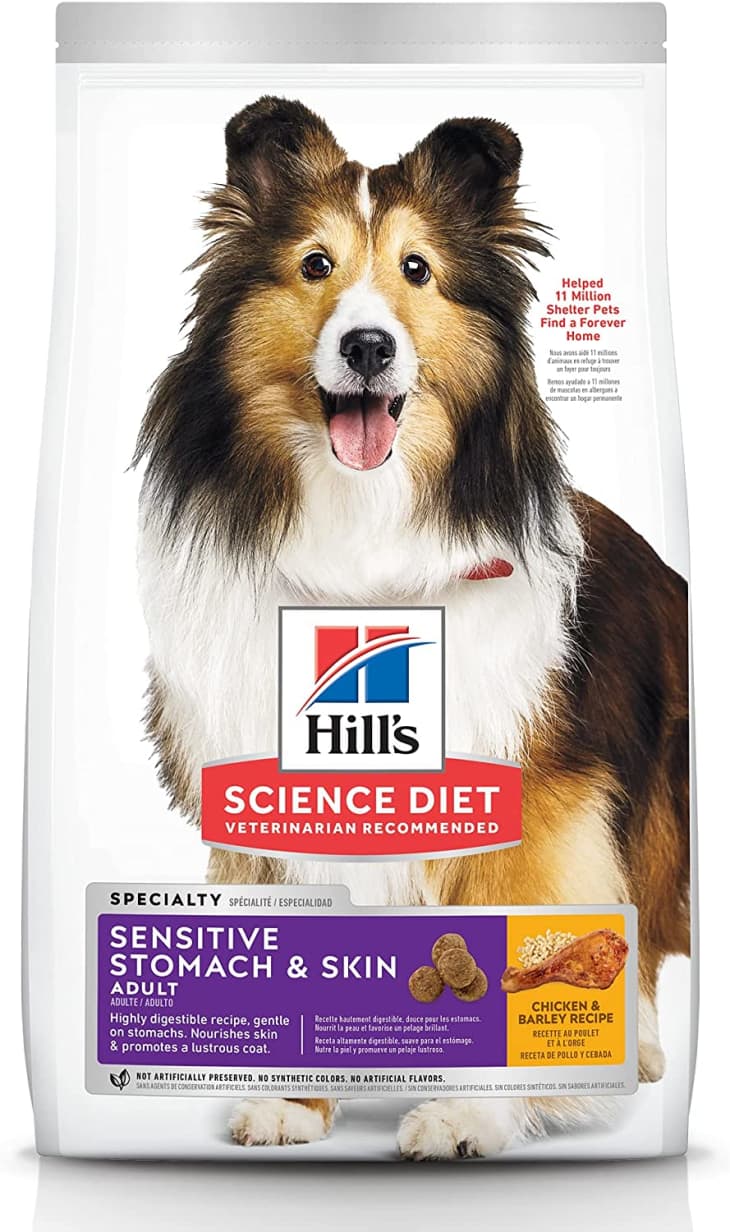 Best dog food for clearance sensitive