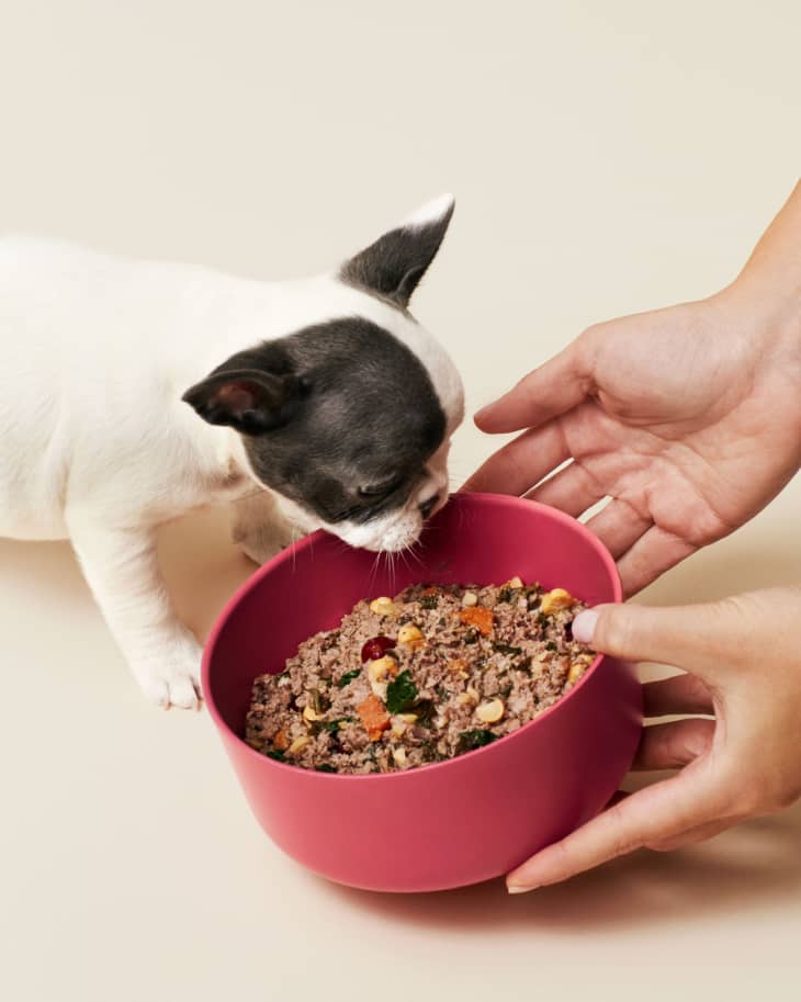 Dog food for picky eaters hotsell