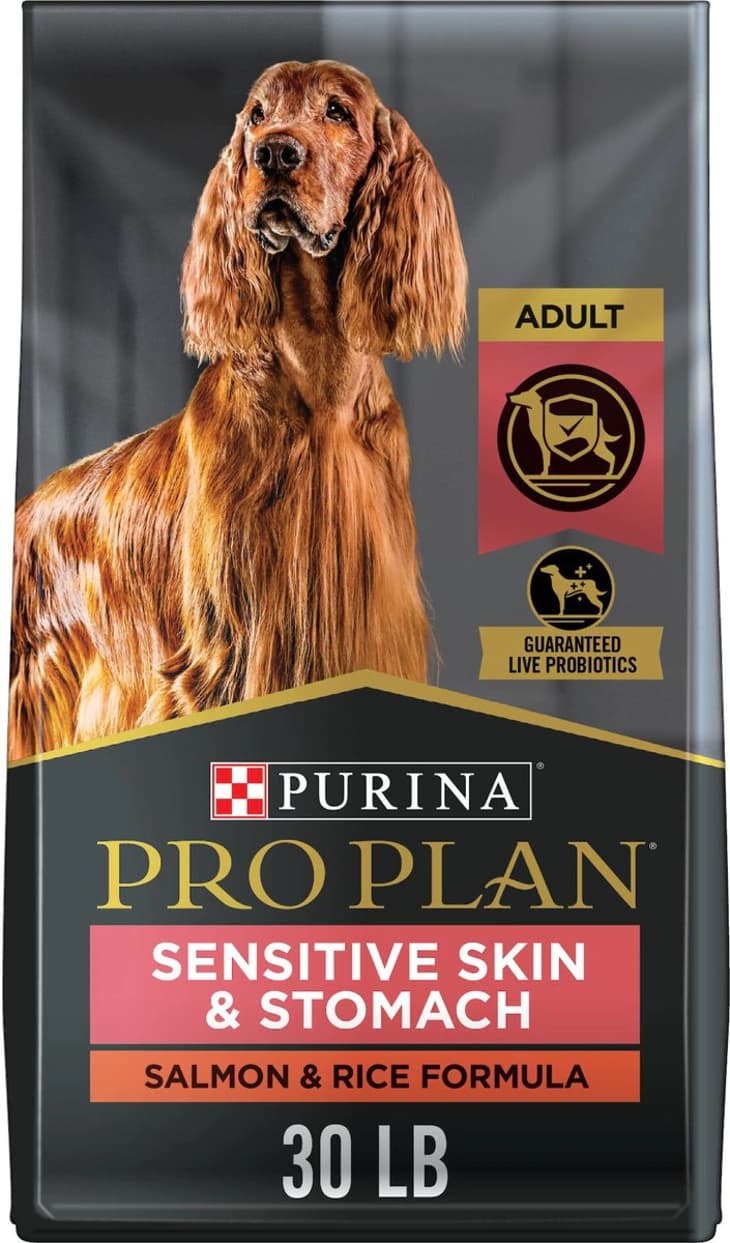Picky dog eater food sale