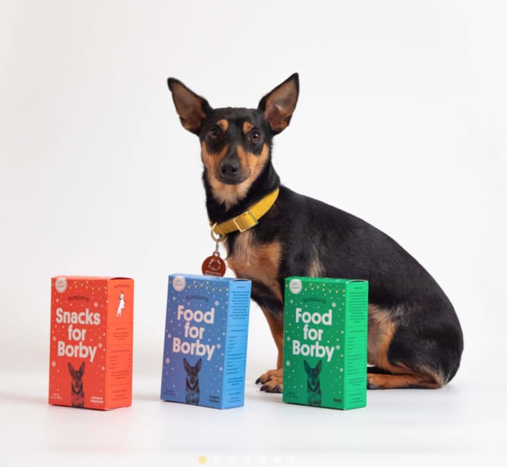 Customized Holiday Mini Cereal Box, 3-pack at Sundays for Dogs