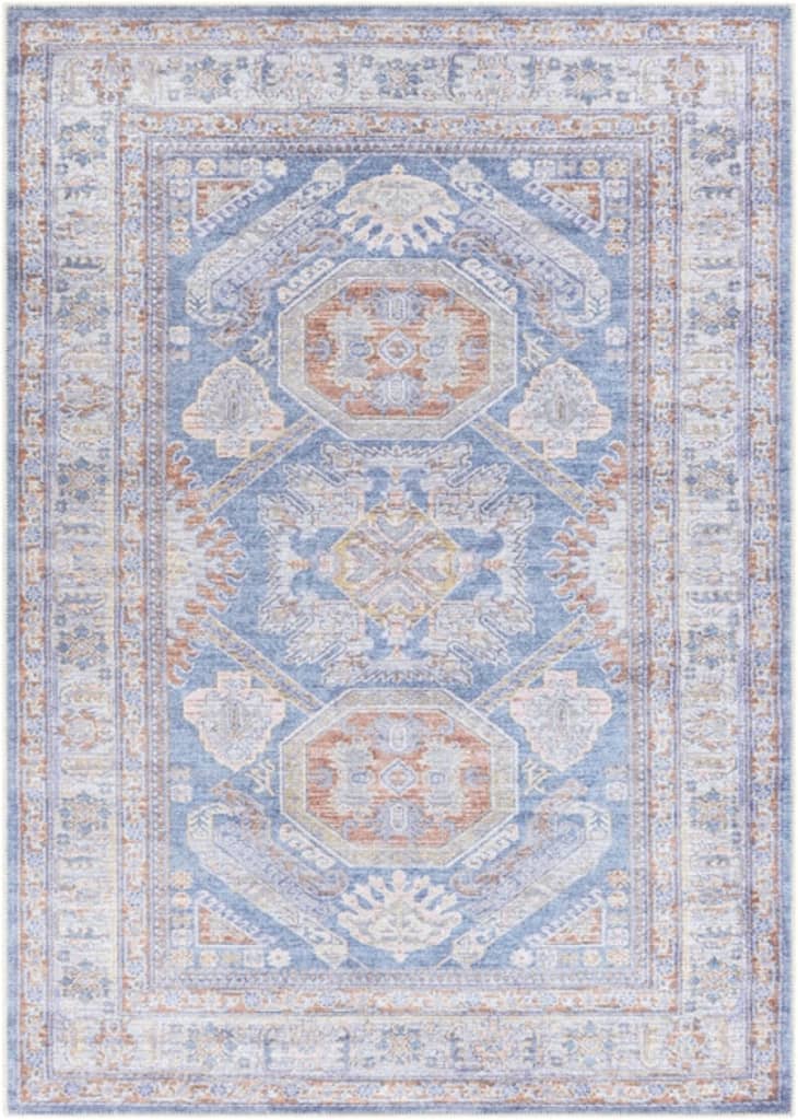 Boutique Rugs January 2021 Sale on MachineWashable Rugs Apartment