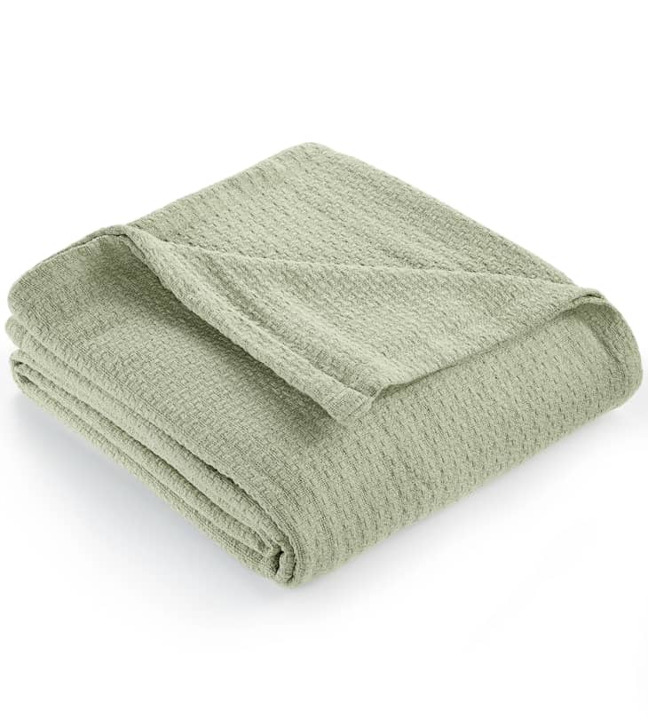 Lauren Ralph Lauren Classic 100% Cotton Blanket, Full/Queen at Macy's