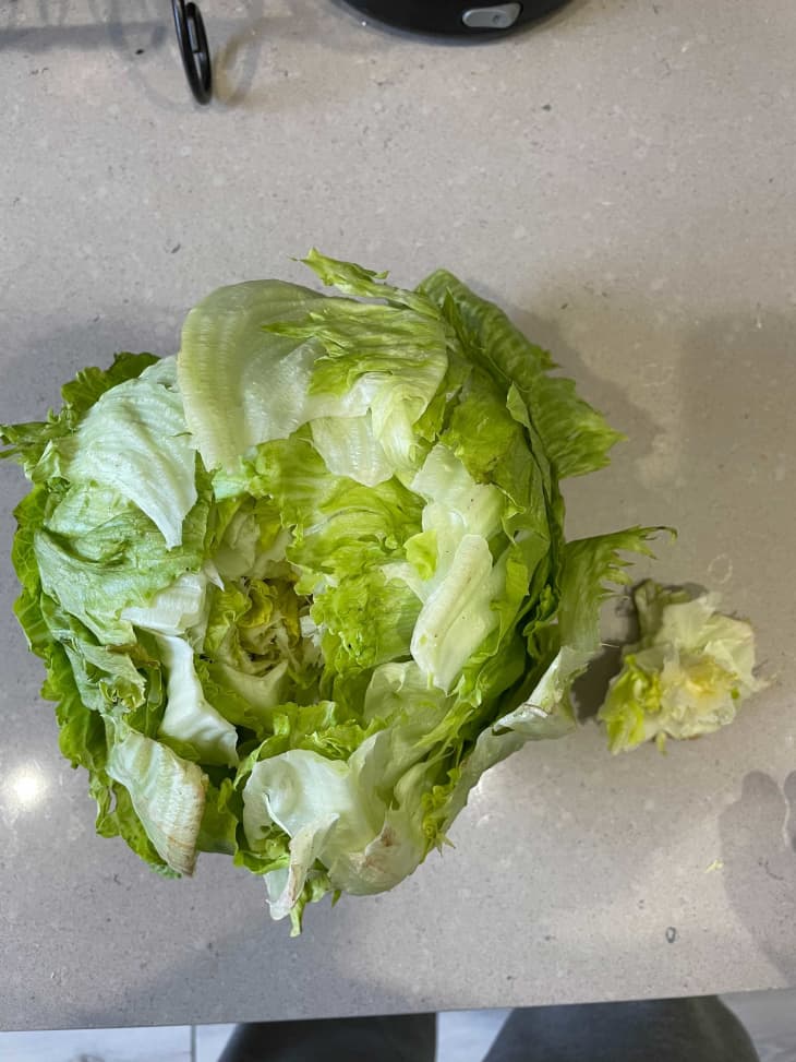 A head of iceberg lettuce