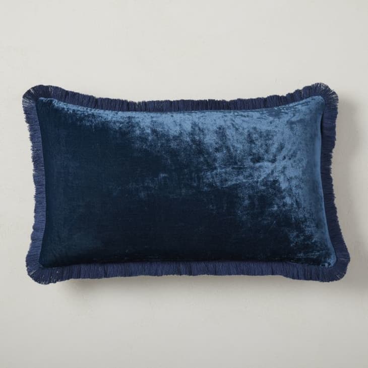 Product Image: Lush Velvet Fringe Pillow Cover