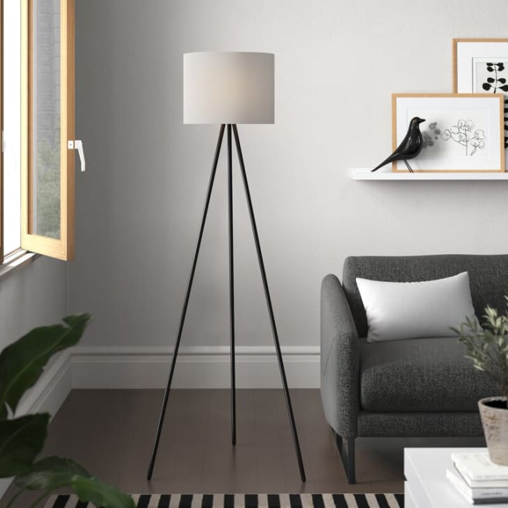 Zipcode Design Norine 61" Tripod Floor Lamp at Wayfair