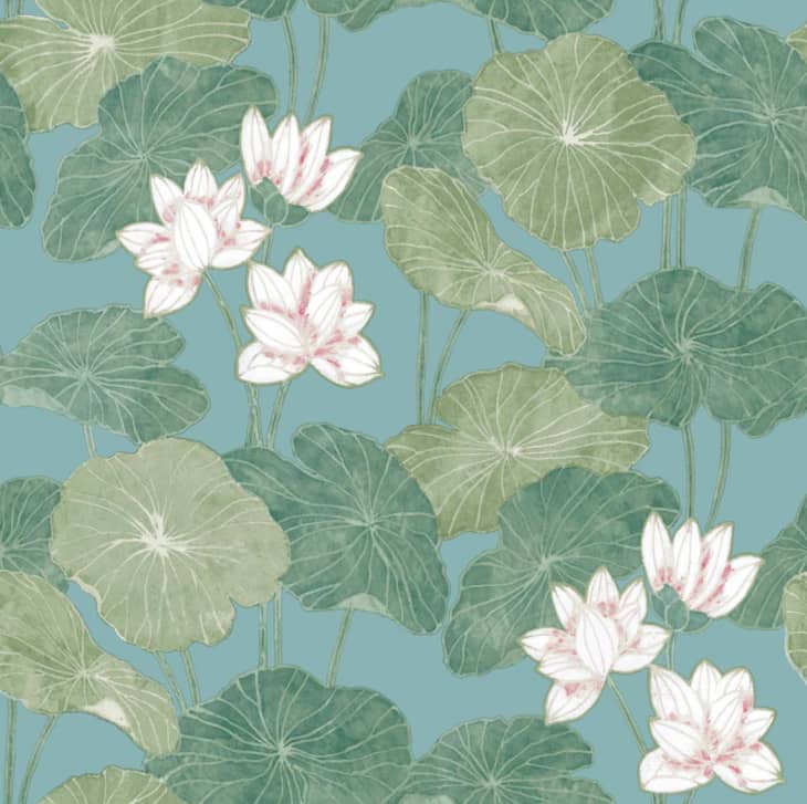RoomMates Blue Green Lily Pad Peel and Stick Wallpaper at Amazon