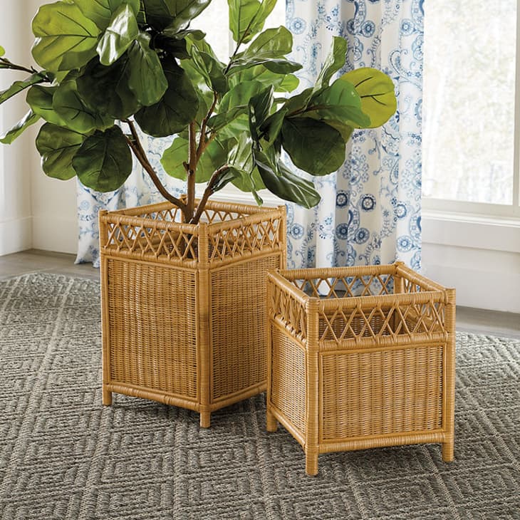 Rattan Plant Stand & Pot – Kennedy Sue Gift & Home
